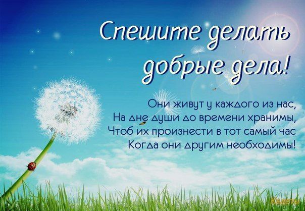 Спешите делать добрые дела!